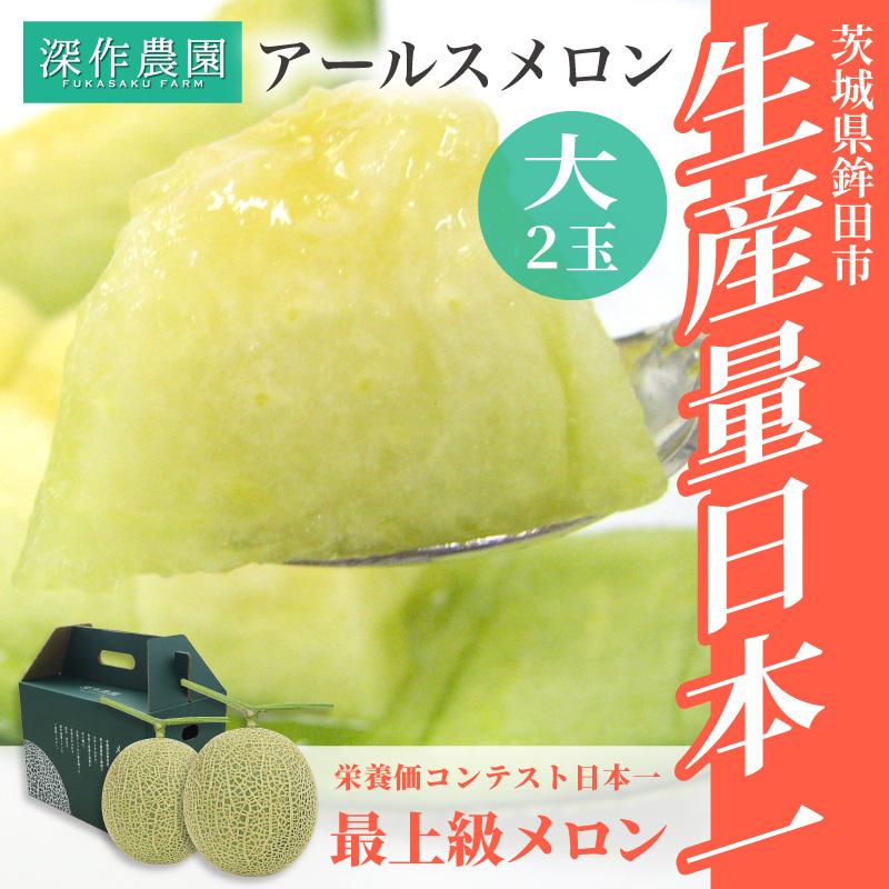 メロン アールスメロン 大 ギフト 2個入(1玉 約1.5kg) 茨城 マスクメロン｜fukasakunouen