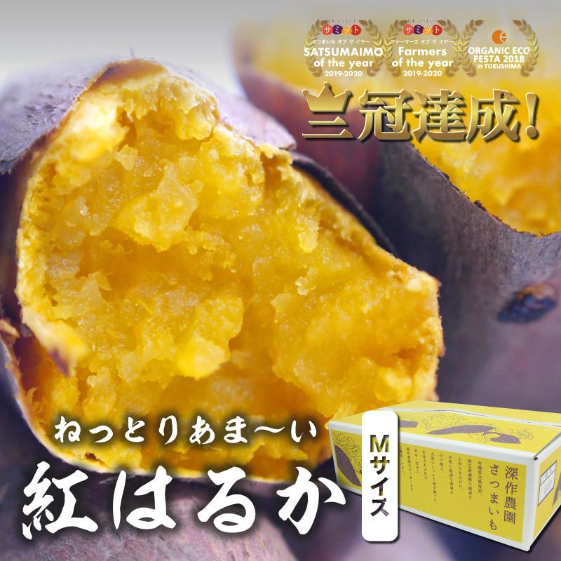 さつまいも 紅はるか M 5kg サツマイモ :satumaimo01:深作農園 Yahoo!店 - 通販 - Yahoo!ショッピング さつまいも 紅はるか M 5kg サツマイモ :satumaimo01:深作農園 Yahoo!店 - 通販 - Yahoo!ショッピング
