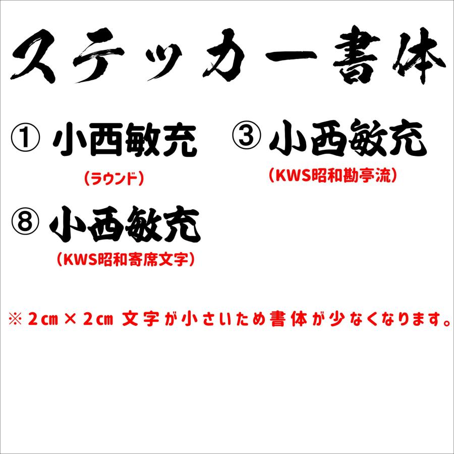 バッカン用　ネームシール　カッティングステッカー　2ｃｍ×2ｃｍ(2枚組）｜fukaseya5972｜02