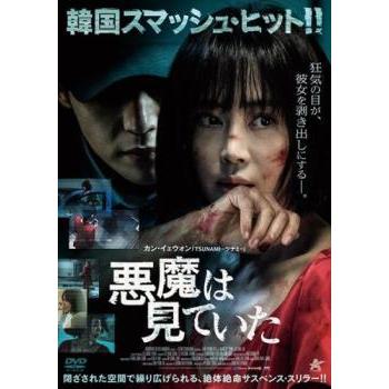 悪魔は見ていた▽レンタル用 中古 DVD 韓国ドラマ ホラー : フクフク