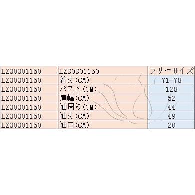 FLZ 布帛 シャツ 長袖 リボン  折襟 ストライプ  シャツスリーブ スリット  シングル ブレスト  ゆるい アシンメトリー マニッシュ 通勤｜fuki-fashion｜02