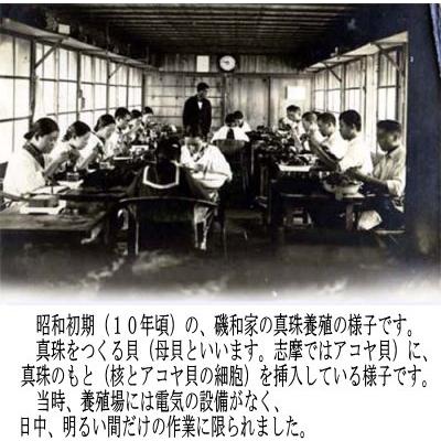 早い者勝ち訳あり！ Isowa Pearl（伊勢志摩の真珠専門店 イソワパール） アコヤ真珠 ネックレス イヤリング セット 7.0-7.5mm ホワイトピンク 【YWU1275028484】(44885円)