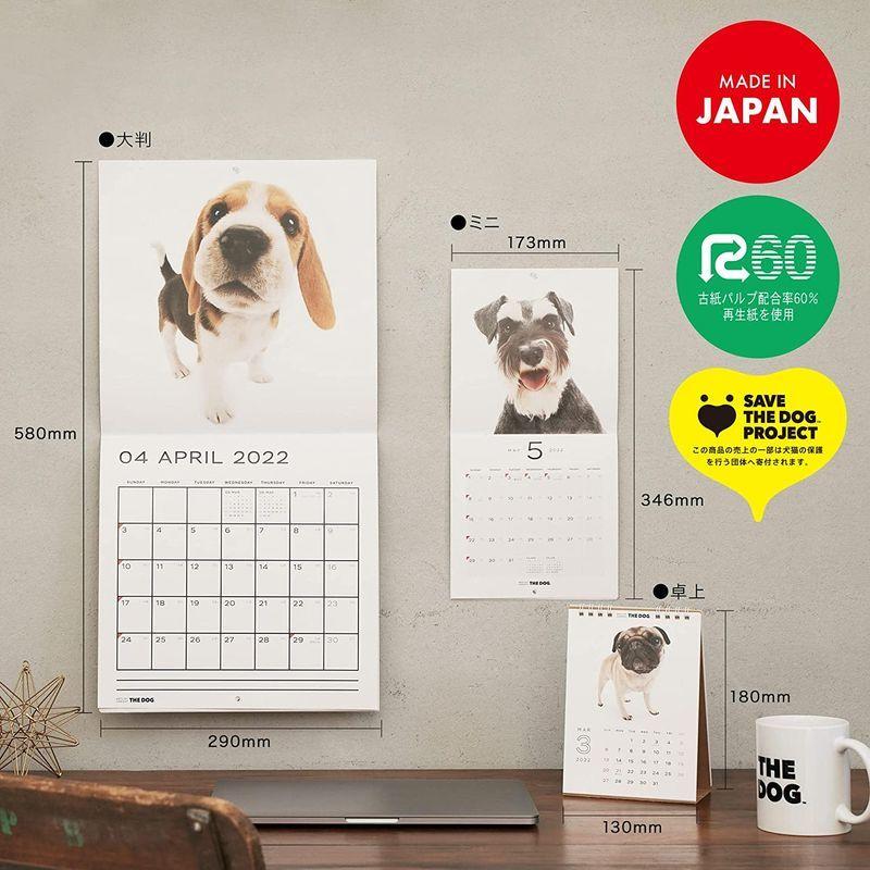 国内発送 The Cat カレンダー 22 卓上カレンダー All Star 猫カレンダー スケジュール表 21年9月 22年12月 カレンダー Www We Job Com