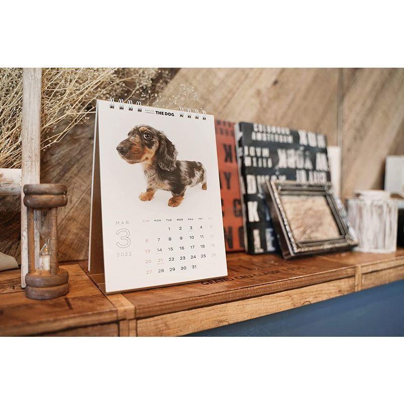 国内発送 The Cat カレンダー 22 卓上カレンダー All Star 猫カレンダー スケジュール表 21年9月 22年12月 カレンダー Www We Job Com