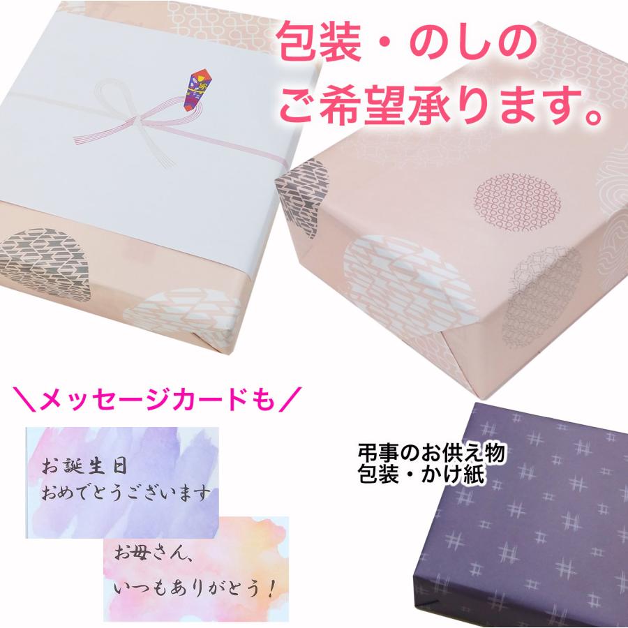 面取中磨 都色（めんとりちゅうがけみやこいろ) 新品 2026 お中元 人気 森川 手延べ五色そうめん ギフト 愛媛 カラフル 色