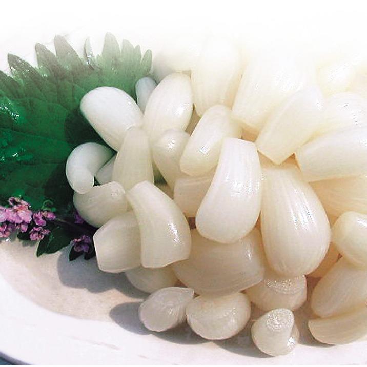 鳥取 砂丘 らっきょう 甘酢漬け 140g×5袋 らっきょう漬け ふるさと