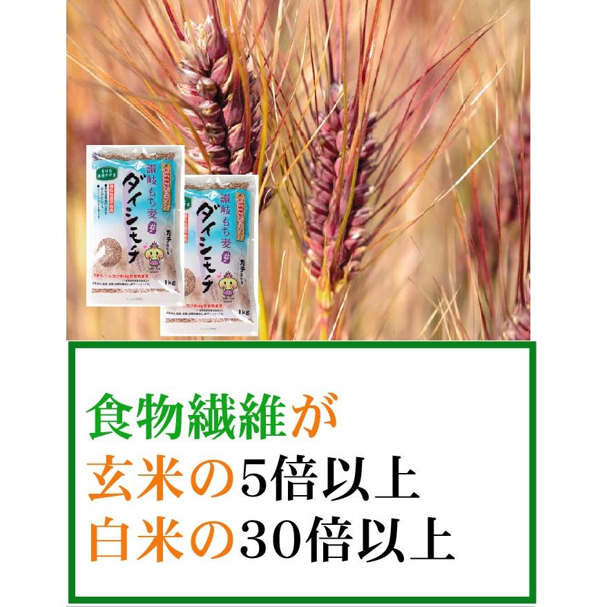 もち麦 国産 ダイシモチ 1000g 機能性表示食品 発酵性食物繊維 香川産