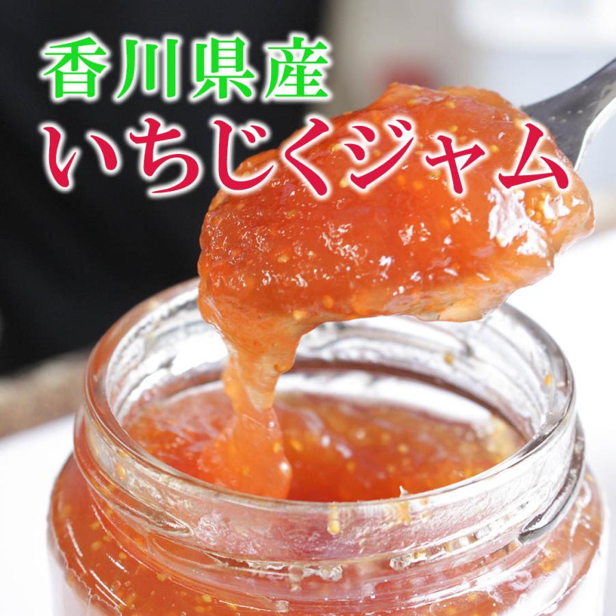 国産 いちじくジャム 270g×2個 イチジクジャム 香川県産 送料無料