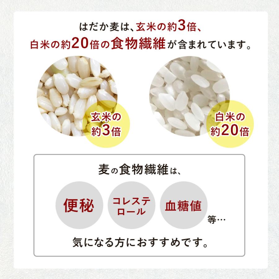 【送料無料】 ほんまもんむぎ茶 10ｇ×52パック入袋6個セット  香川産イチバンボシ100%国産麦茶　ほんまもん麦茶　赤ちゃんベビー子供におすすめ 麦茶ポットに｜fukiagetei｜07