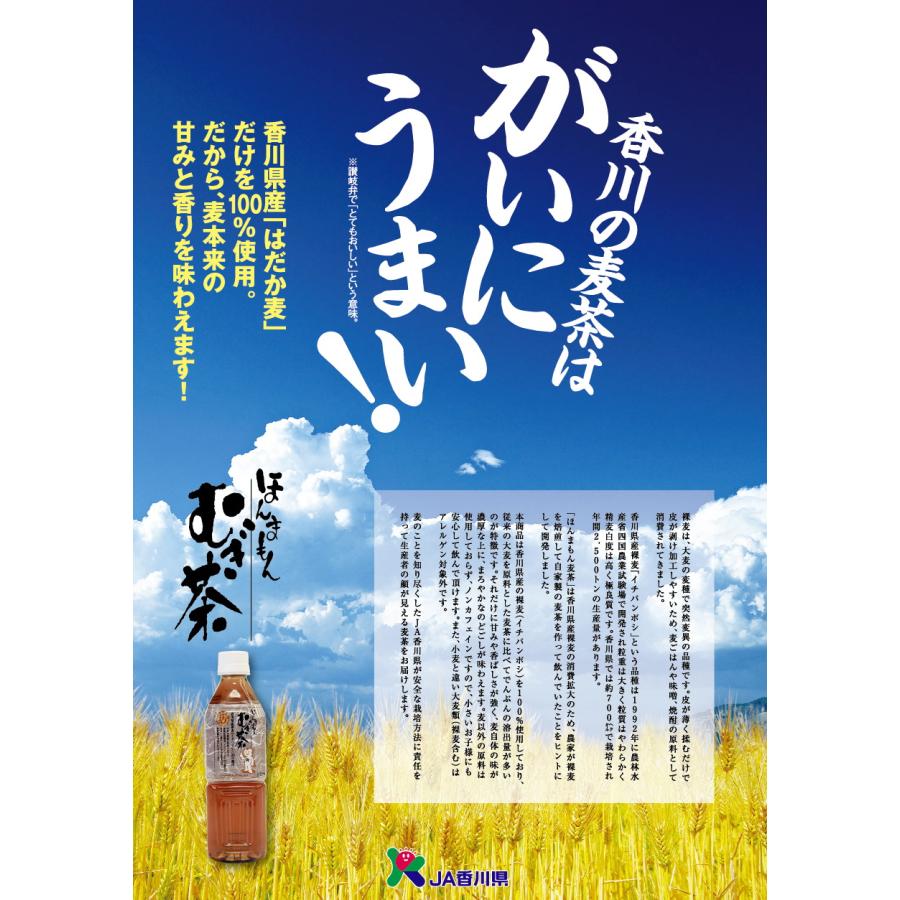 2025 お中元 人気 ほんまもん むぎ茶 500ml 24本 ペットボトル 国産