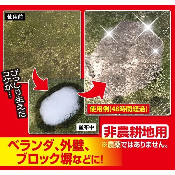 業務用 コケ取りスプレー コケ取り剤 コンクリート コケそうじ 苔取り剤 苔除去 簡単 外壁 玄関 ブロック｜fuku-kitaru｜09