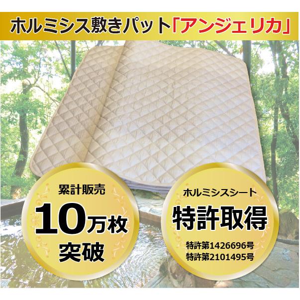 グランドセール □即日発送□玉川温泉ラジウム石1.6キロ econet.bi