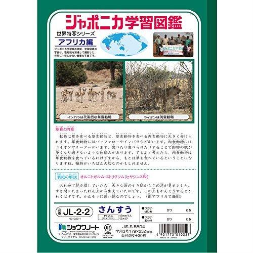 正規品 ショウワノート 学習帳 Jl 2 2 5 5冊パック B5 13 17 17マス 算数 ジャポニカ その他ノート 紙製品 Difusoresacusticos Com Ar