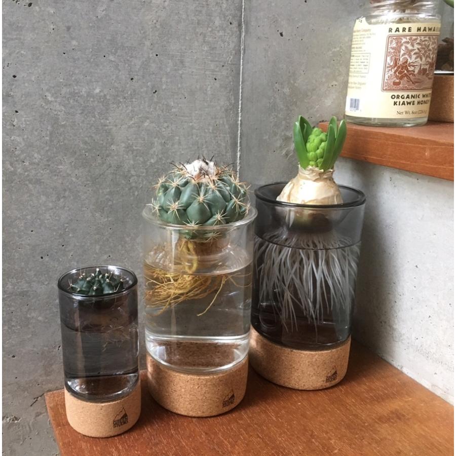 SOAKハイドロポニックスポット スタンダード 水栽培用ガラス鉢