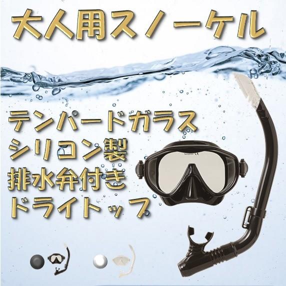 シュノーケルセット Yd 580 排水弁付き 大人 中学生 高校生 シュノーケル マスク スイムセット Fuku0042 Fukufuku 通販 Yahoo ショッピング