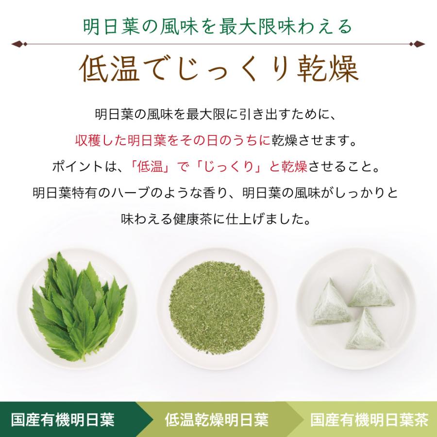 飲む健康野菜。明日も健康でいたいから。国産無農薬の厳選有機明日葉茶。オーガニック明日葉茶ティーバッグ2g100包 大容量 | ふくちゃ | 05