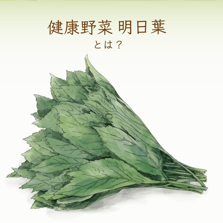 飲む健康野菜。明日も健康でいたいから。国産無農薬の厳選有機明日葉茶。オーガニック明日葉茶ティーバッグ2g30包 | ふくちゃ | 02