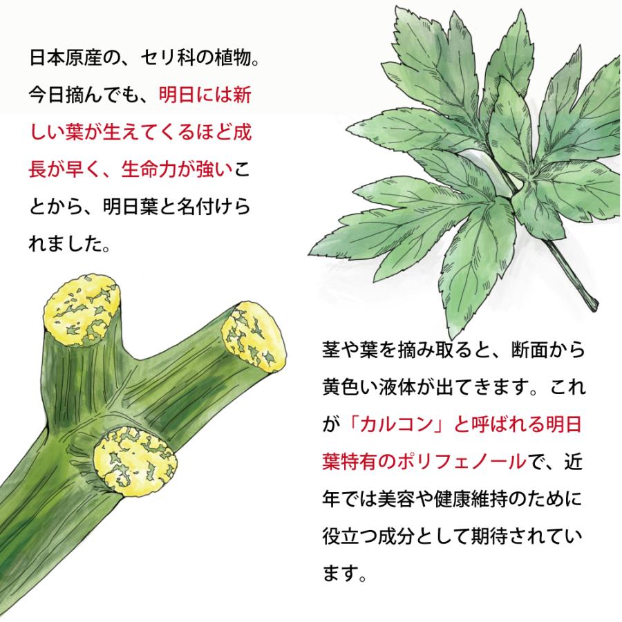 飲む健康野菜。明日も健康でいたいから。国産無農薬の厳選有機明日葉茶。オーガニック明日葉茶ティーバッグ2g50包 | ふくちゃ | 03
