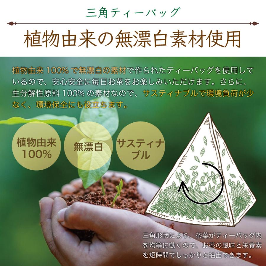 飲む健康野菜。明日も健康でいたいから。国産無農薬の厳選有機明日葉茶。オーガニック明日葉茶ティーバッグ2g50包 | ふくちゃ | 06
