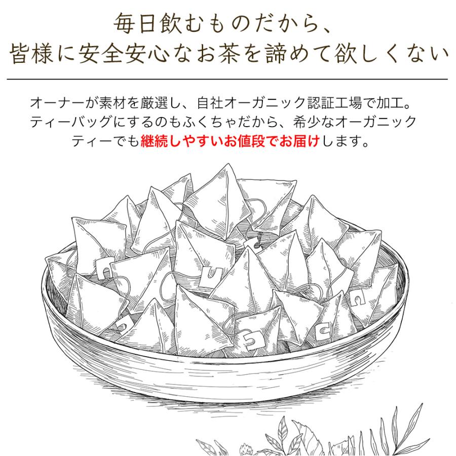 オーガニックアッサムティー 2g×50包 有機アッサム 有機紅茶 アッサムティー 紅茶  オーソドックス製法 リーフティータイプ | ふくちゃ | 08