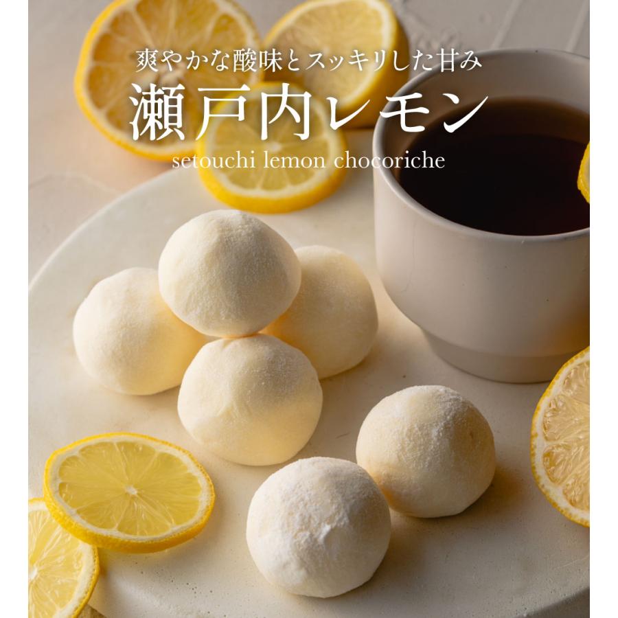 チョコ おしゃれ スイーツ ギフト プレゼント  訳あり ショコリッシュ 5個×6袋 | ふくちゃ | 15
