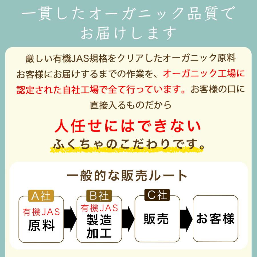 ふくちゃ オーガニック グリーンルイボスティー 2g × 100包 200g
