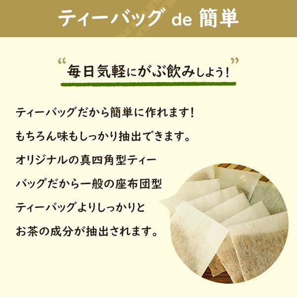 ごぼう茶 国産 1.5g×30包 45g ゴボウ茶 健康茶 岡山県産 皮つき ティーバッグ | ふくちゃ | 06