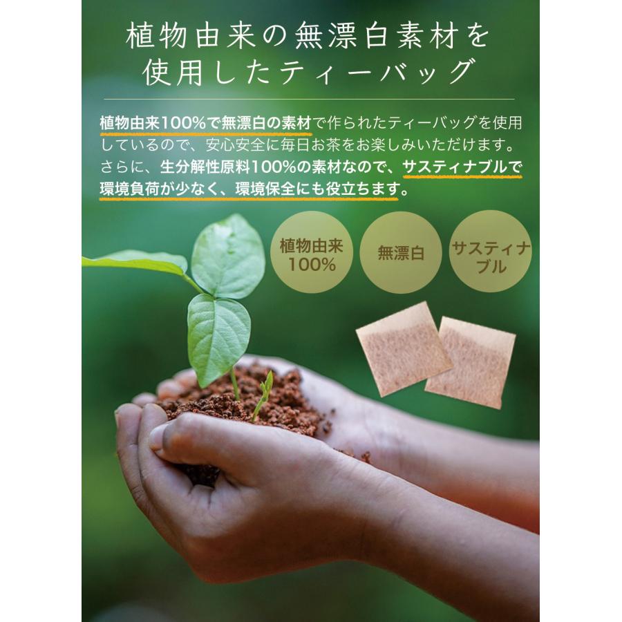 ごぼう茶 ゴボウ茶 牛蒡茶 国産 茶 健康茶 送料無料 ティーバッグ 40包 ふくちゃ 福茶 | ふくちゃ | 07
