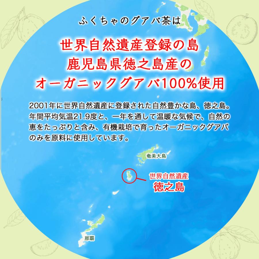 国産有機グアバ茶 グァバ茶 ノンカフェイン 国産 茶 健康茶 送料無料 ティーバッグ 100包 ふくちゃ 福茶 | ふくちゃ | 03