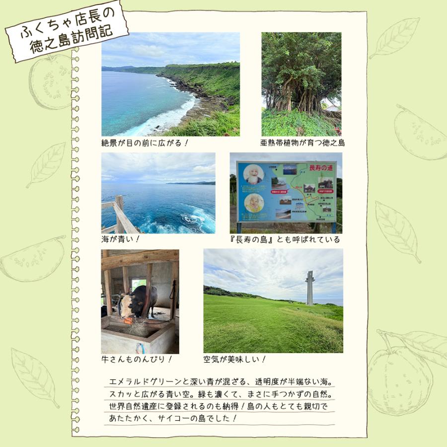 国産有機グアバ茶 グァバ茶 ノンカフェイン 国産 茶 健康茶 送料無料 ティーバッグ 100包 ふくちゃ 福茶 | ふくちゃ | 04