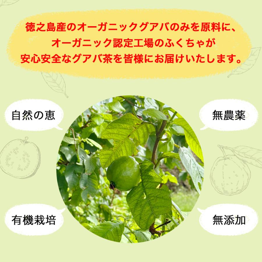 国産有機グアバ茶 グァバ茶 ノンカフェイン 国産 茶 健康茶 送料無料 ティーバッグ 100包 ふくちゃ 福茶 | ふくちゃ | 05
