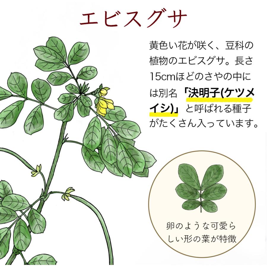 ふくちゃ ハブ茶 はぶ茶 ハブチャ 1200g (5g×80包×3袋) エビスグサ