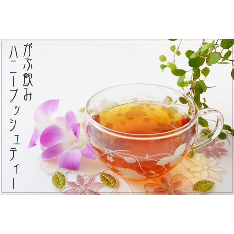 ふくちゃ ハニーブッシュティー 2g × 100包 200g ハニーブッシュ 有機