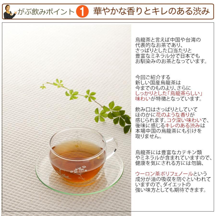 烏龍茶 ウーロン茶 国産 5g × 45包 100g 茶 健康茶 ティーバッグ 45包 送料無料 ふくちゃ 福茶 | ふくちゃ | 01