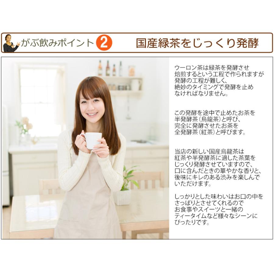 烏龍茶 ウーロン茶 国産 5g × 45包 100g 茶 健康茶 ティーバッグ 45包 送料無料 ふくちゃ 福茶 | ふくちゃ | 02