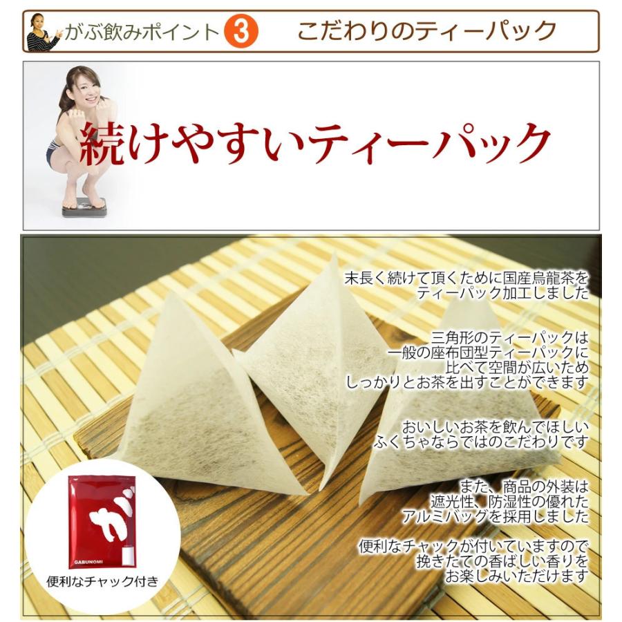 烏龍茶 ウーロン茶 国産 5g × 45包 100g 茶 健康茶 ティーバッグ 45包 送料無料 ふくちゃ 福茶 | ふくちゃ | 03