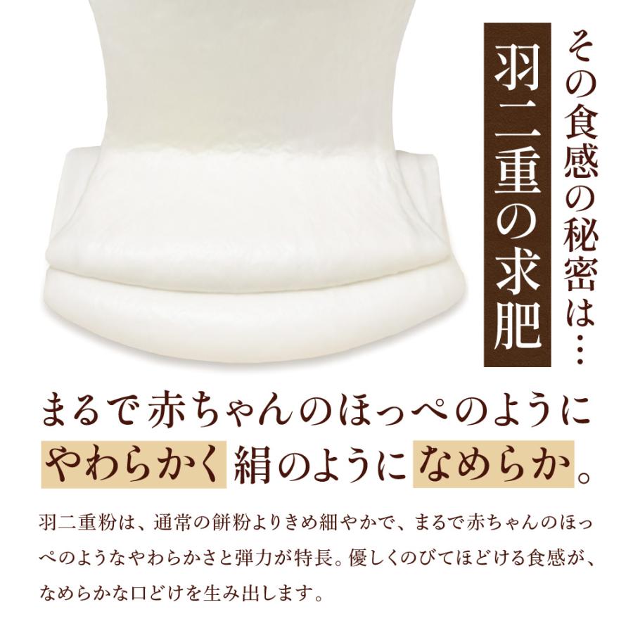 ギフト 訳あり モチリッシュ ドバイチョコ餅 生チョコ大福 ドバイチョコ大福 ドバイチョコ ガナッシュ ピスタチオ 求肥 和菓子 洋菓子 お取り寄せ 冷凍 大容量 | ふくちゃ | 09