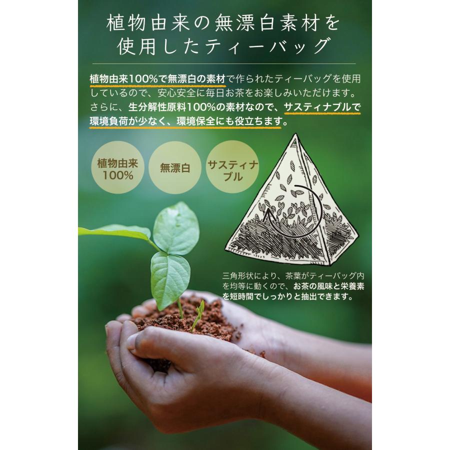 ふくちゃ モリンガティー モリンガ茶 モリンガ 茶 健康茶 国産 送料 