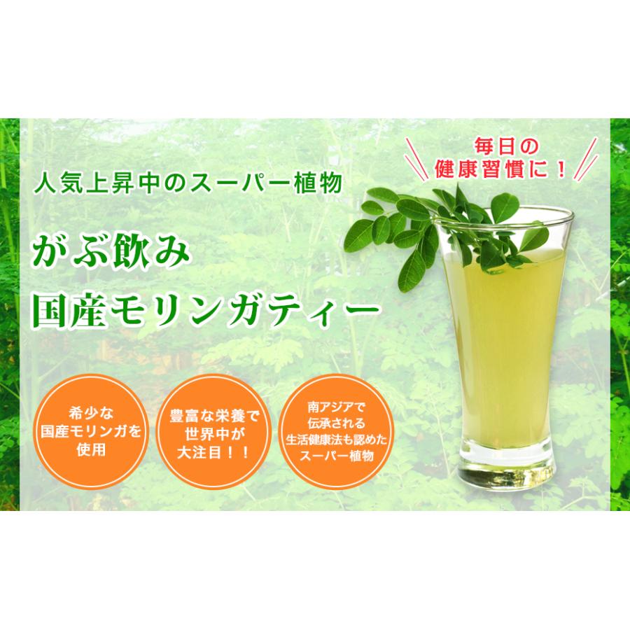 モリンガティー モリンガ茶 モリンガ 茶 健康茶 国産 送料無料 スーパーフード 茶 健康茶 ティーバッグ 50包 ふくちゃ 福茶 | ふくちゃ | 01