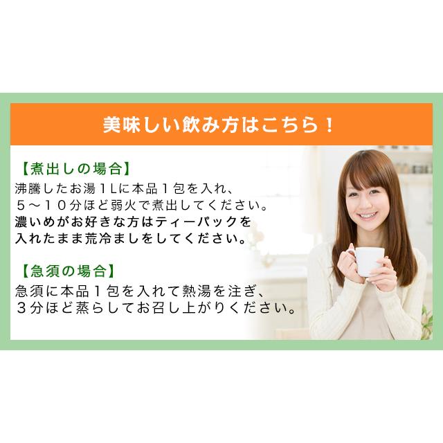 モリンガティー モリンガ茶 モリンガ 茶 健康茶 国産 送料無料 スーパーフード 茶 健康茶 ティーバッグ 50包 ふくちゃ 福茶 | ふくちゃ | 07