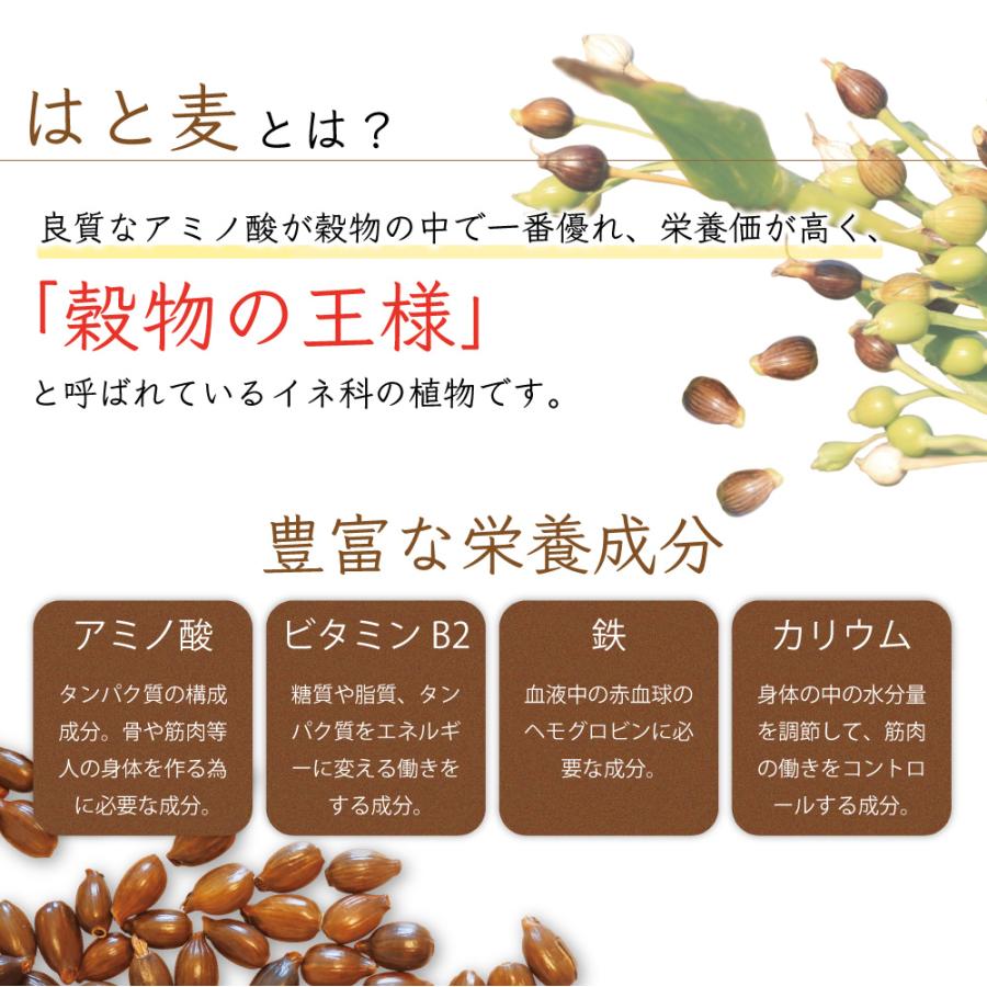 ふくちゃ ハトムギ茶 国産 2.5g×100包 250g ティーバッグ はと麦茶