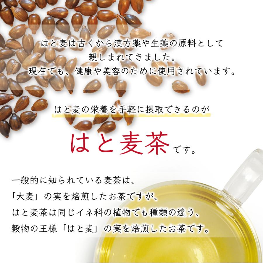 ハトムギ茶 国産 ティーバッグ はと麦茶 はとむぎ茶 はとむぎ 茶 250g 