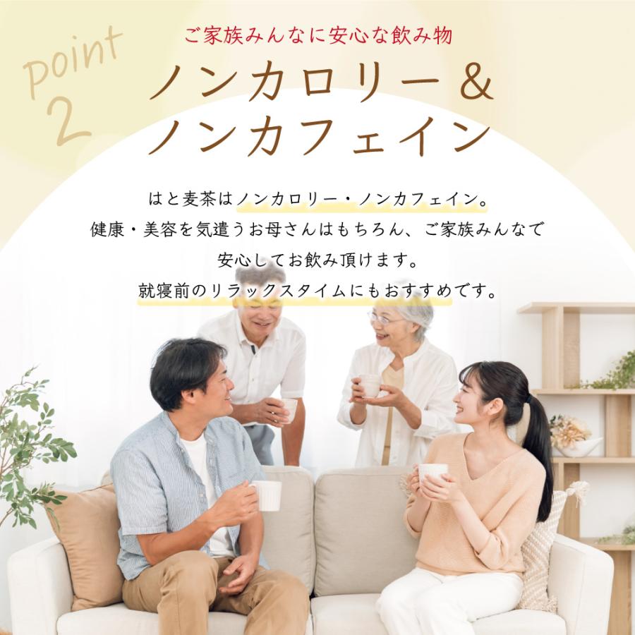 ふくちゃ ハトムギ茶 国産 2.5g×100包 250g ティーバッグ はと麦茶