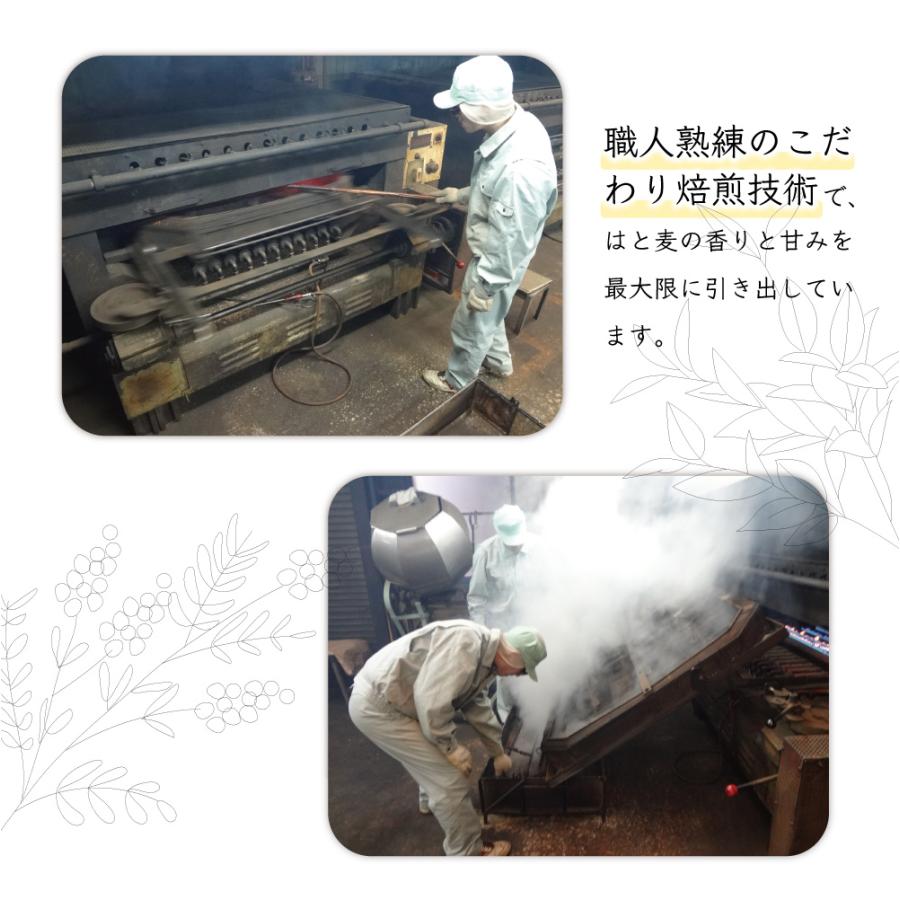 ハトムギ茶 はと麦茶 国産 6g × 45包 270g ハトムギ ハトムギ ティーバッグ はとむぎ 大容量 ノンカフェイン | ふくちゃ | 05