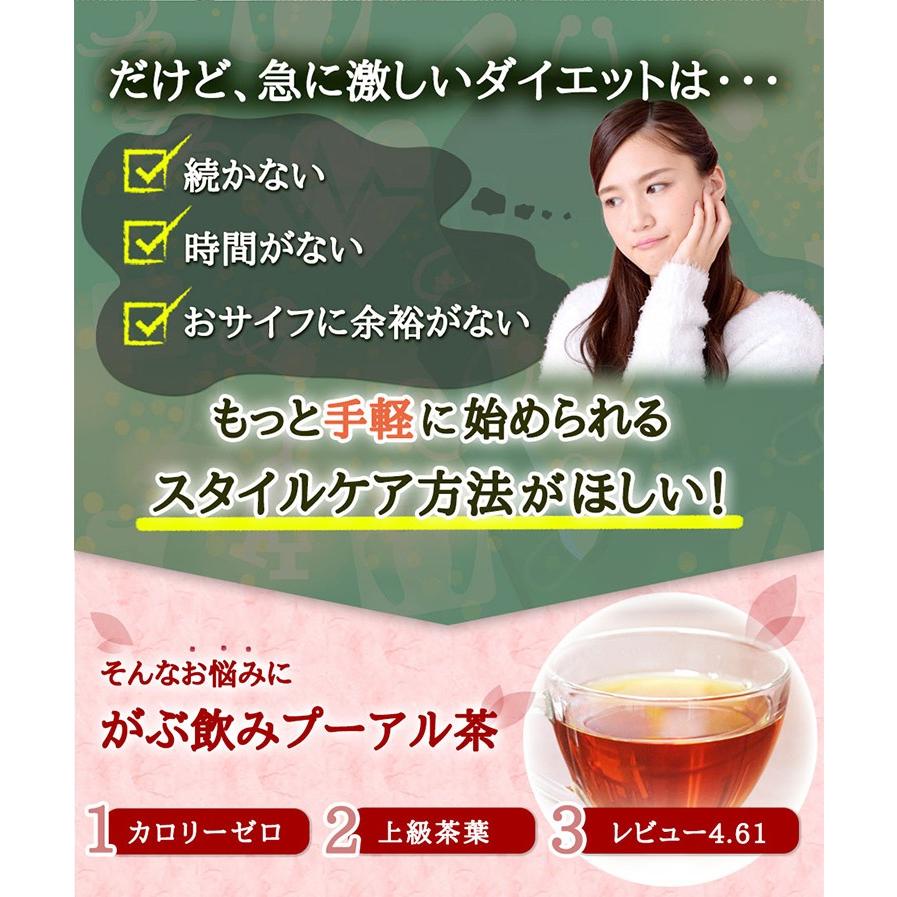 プーアル茶 プーアール 茶 健康茶 ダイエット 送料無料 ティーバッグ 30包 ふくちゃ 福茶 ポイント消化｜fukucha｜05