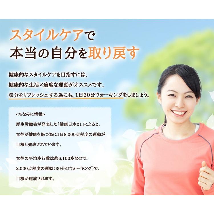 プーアル茶 プーアール 茶 健康茶 ダイエット 送料無料 ティーバッグ 30包 ふくちゃ 福茶 ポイント消化｜fukucha｜08