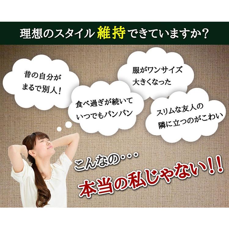 プーアル茶 プーアール茶 3g × 50包 150g 健康茶 ダイエット ティーバッグ | ふくちゃ | 03