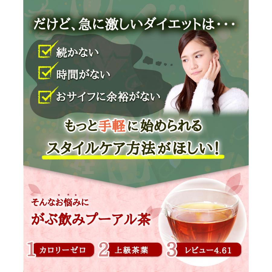 プーアル茶 プーアール茶 1.8g×100包 180g 健康茶 ダイエット ティーバッグ | ふくちゃ | 05