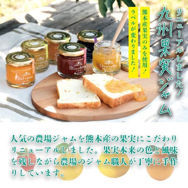 ジャム マーマレード 甘夏 九州果実ジャム 120g 福田農場 熊本 : 福田