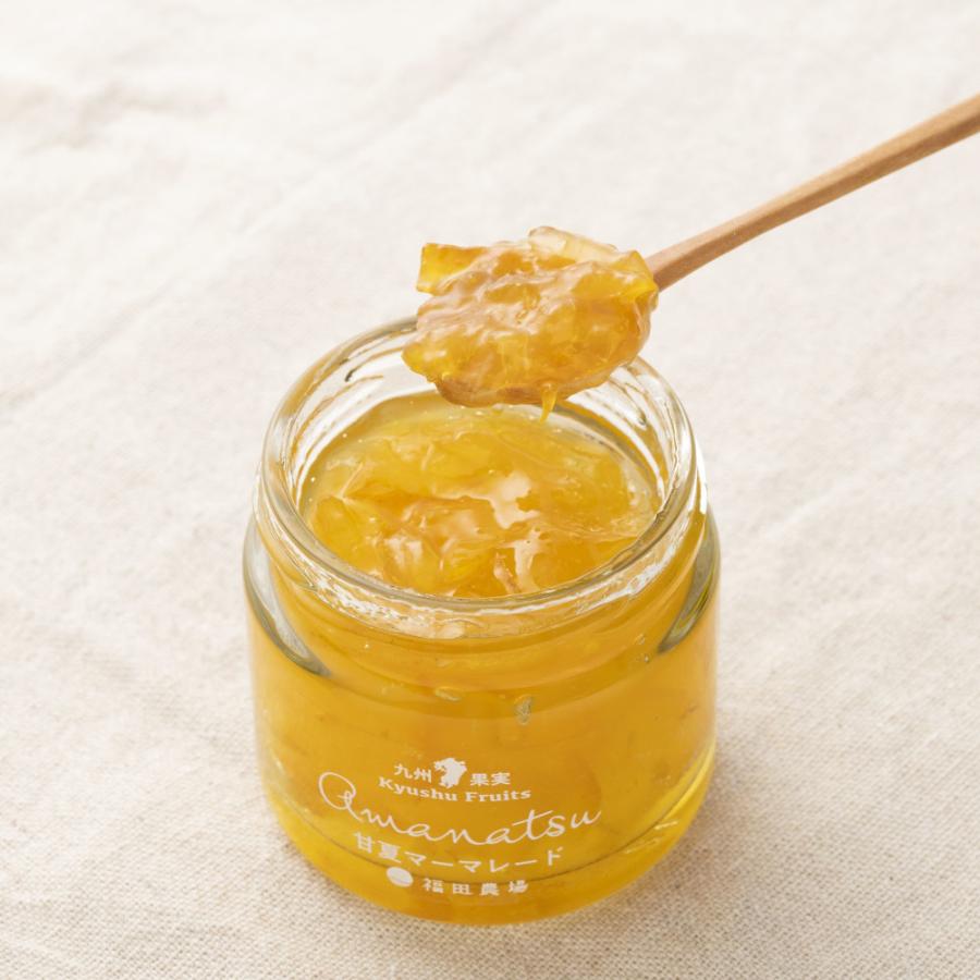 ジャム マーマレード 甘夏 九州果実ジャム 120g 福田農場 熊本 : 福田